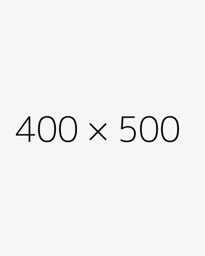 dummy 400x500